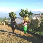 Membahas Pangan Tak Hanya Soal Produksi, tapi Juga Harus Bicara Soal Ini