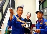 Sebulan, Damkarmat Kota Yogyakarta Atasi 55 Sarang Tawon