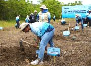 Gandeng LazisMu, BPKH Luncurkan Program Wakaf Pohon di Gunungkidul