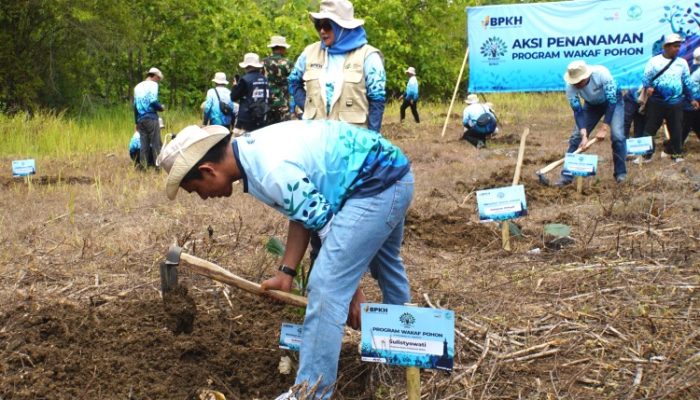 Gandeng LazisMu, BPKH Luncurkan Program Wakaf Pohon di Gunungkidul