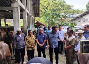 Wawali Pastikan Sapi dan Kambing di Kota Yogyakarta Layak jadi Hewan Kurban