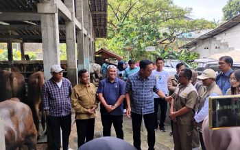 Wawali Pastikan Sapi dan Kambing di Kota Yogyakarta Layak jadi Hewan Kurban
