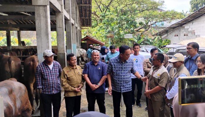 Wawali Pastikan Sapi dan Kambing di Kota Yogyakarta Layak jadi Hewan Kurban
